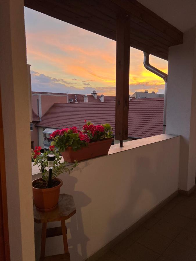 Capri Appartement *